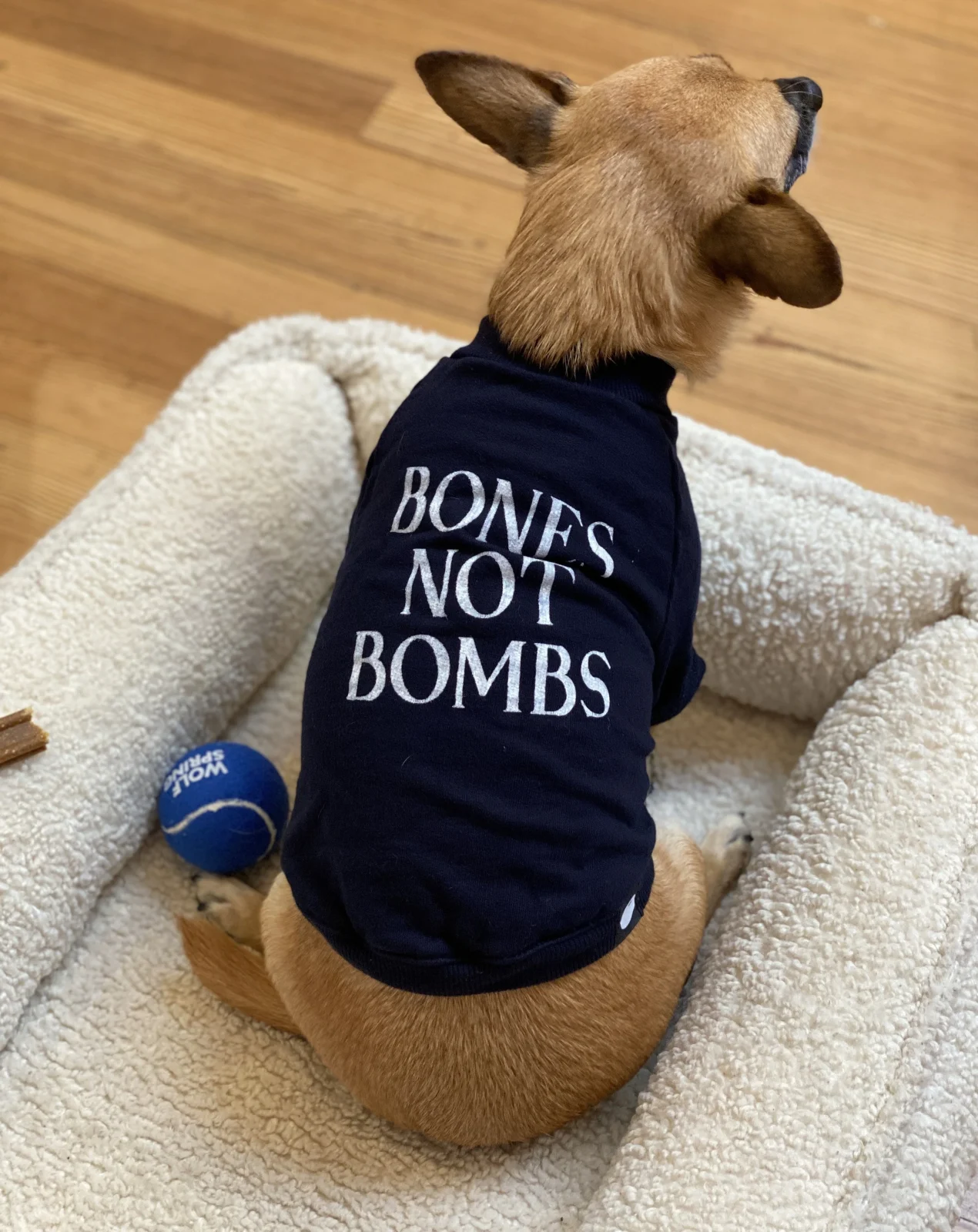 Cut-Sleeve “Bones Not Bombs” T-Shirt (Made in the USA) (FINAL SALE) - Image 2