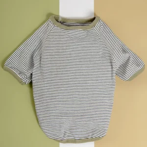 Rib Dog T-Shirt in White & Sage Stripe (CLEARANCE)