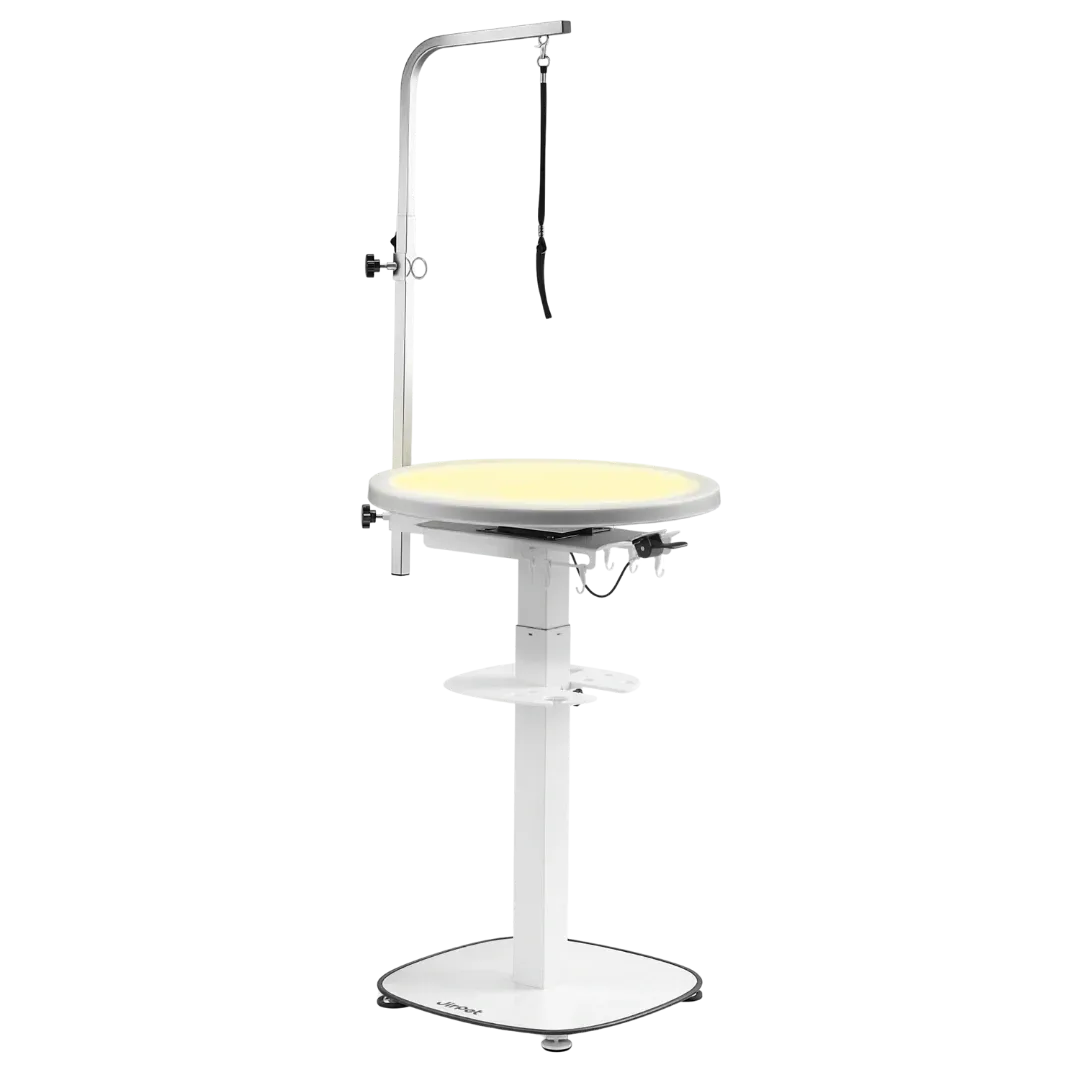 Revolve360 Hydraulic 360° Rotating Grooming Table with Tabletop Light by Jirpet