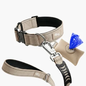 Collar Walk Set - Brown