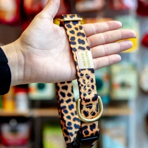 Side-Release Buckle Dog Collar in Leopard