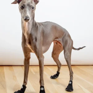 All Season & All Terrain Stretch and Go Dog Boots in Black (CLEARANCE)