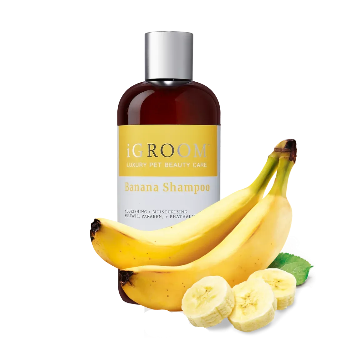 Banana Shampoo 16oz by iGroom - Image 2