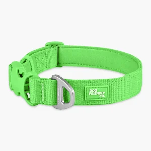 Essentials Collar - Neon Green