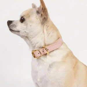 Small Dog Collar in Blush Pink Leather (Made in Italy) (FINAL SALE)