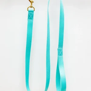 Basic Nylon Dog Leash in Aqua (Made in the USA) (FINAL SALE)