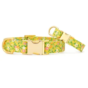 Sunny Meadow Spring Dog Collar (Made in the USA)