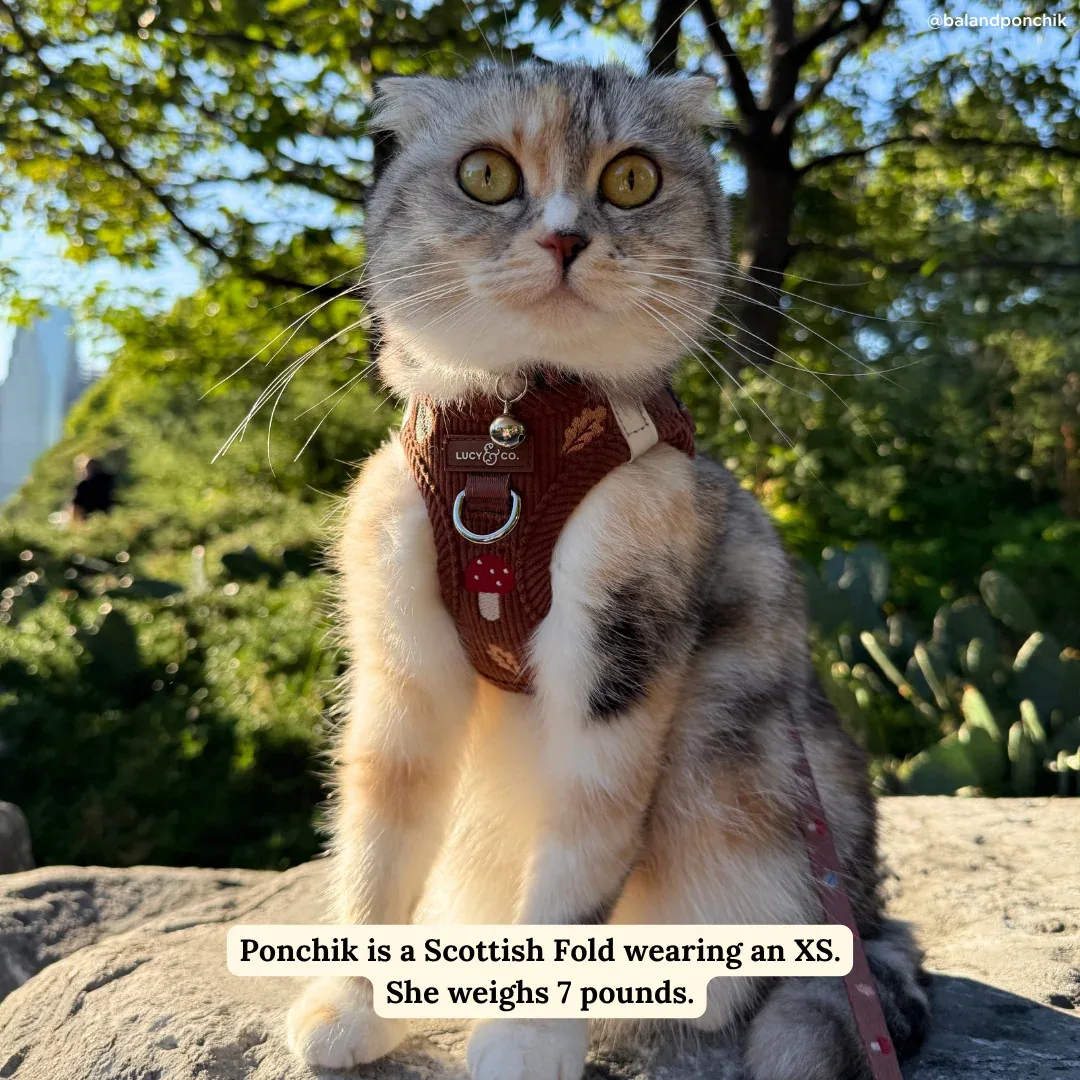 Woodland Wonder Corduroy Step-in Cat Harness - Image 2