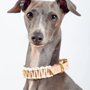 Macrame & Leather Dog Collar in Natural (Made in the USA) (CLEARANCE)