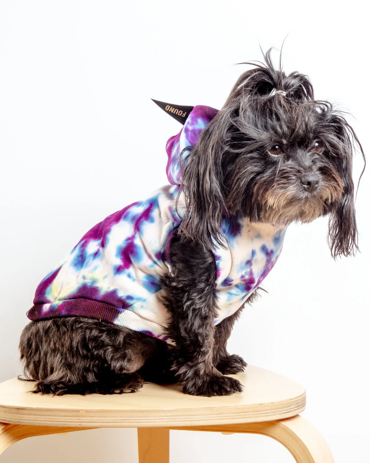 Studio Splatter Dog Sweatshirt in TV Screen (FINAL SALE) - Image 2