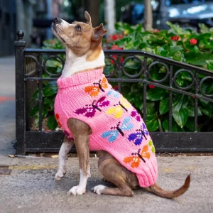 Butterfly Wool Dog Sweater