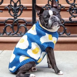 Fried Eggs Dog Sweater