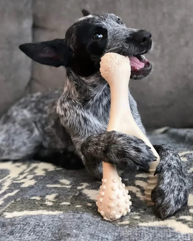 TOUGH All Natural Eco-Friendly Dog Chew Toy (Beef Flavor - Hard) - Image 2