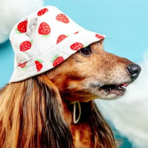 Strawberry Bucket Hat for Dogs