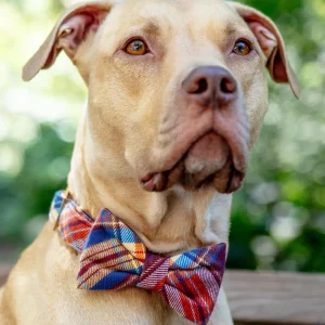 Marlow Plaid Flannel Dog Bow Tie (Made in the USA)