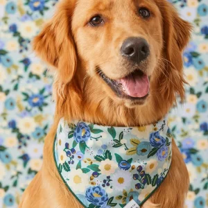 Rifle Paper Co. X TFD Vintage Blossom Dog Bandana (Made in the USA)