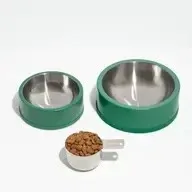 Wild One Dog Bowl in Spruce - Image 2