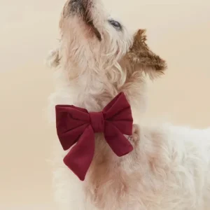 Burgundy Velvet Sailor Dog Bow Tie