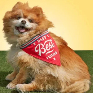 Dad's Best Friend Dog Bandana (FINAL SALE)
