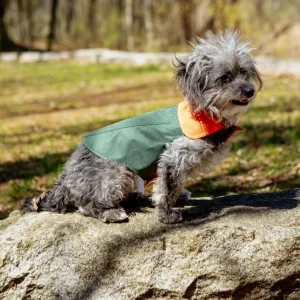 Reversible Dog Raincoat