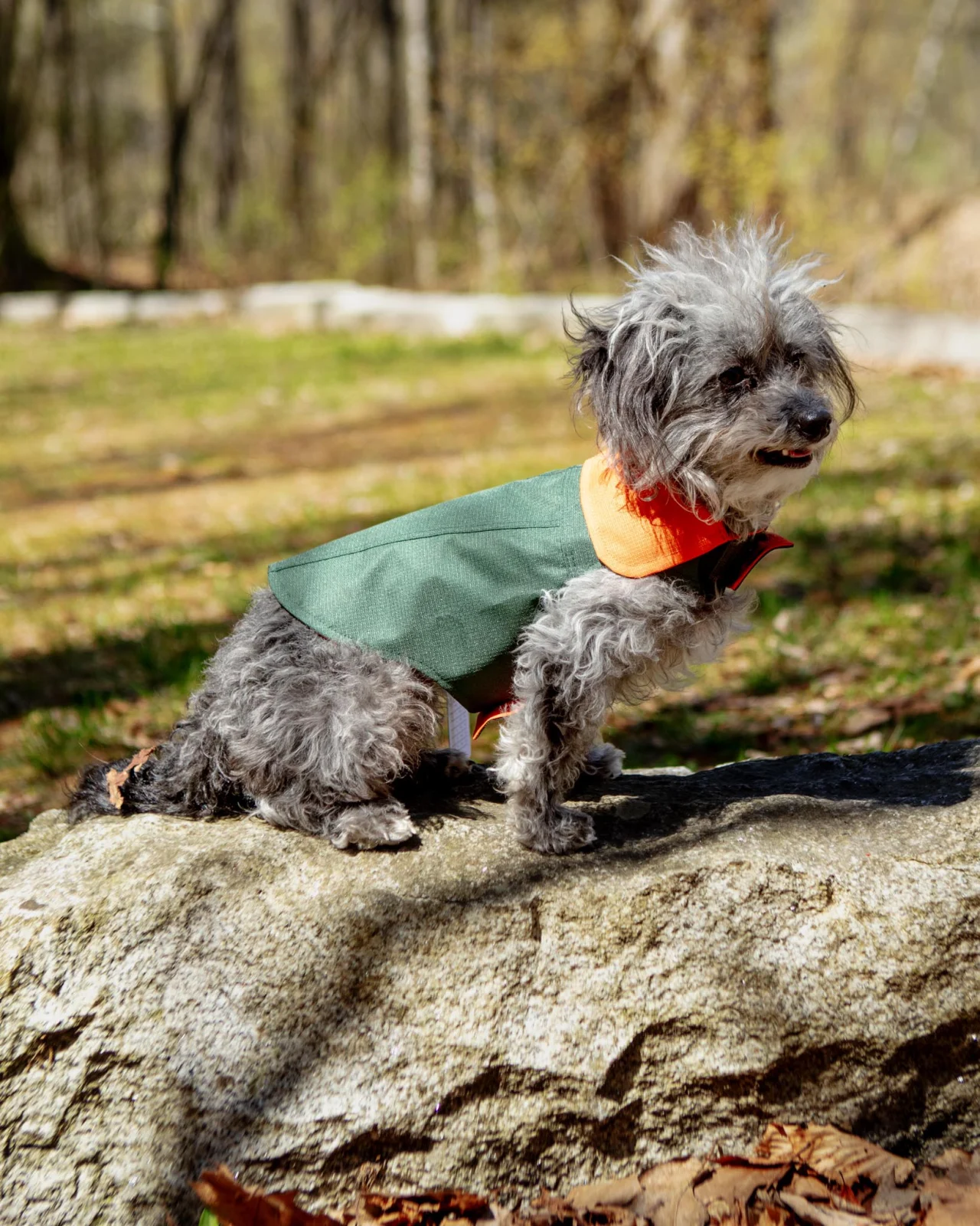 Reversible Dog Raincoat