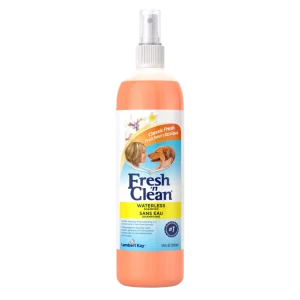 Waterless Shampoo Classic Fresh Scent 12oz by Fresh 'n Clean