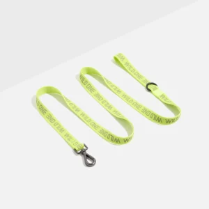 Lightweight Dog Leash