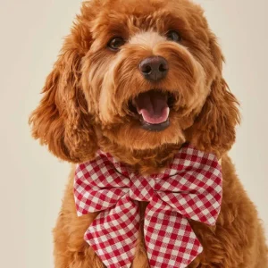 Red Gingham Lady Dog Bow