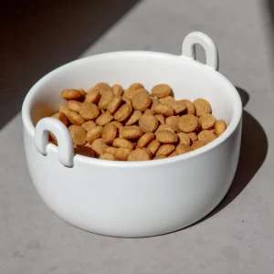 Handle It Ceramic Dog Bowl in White (FINAL SALE)