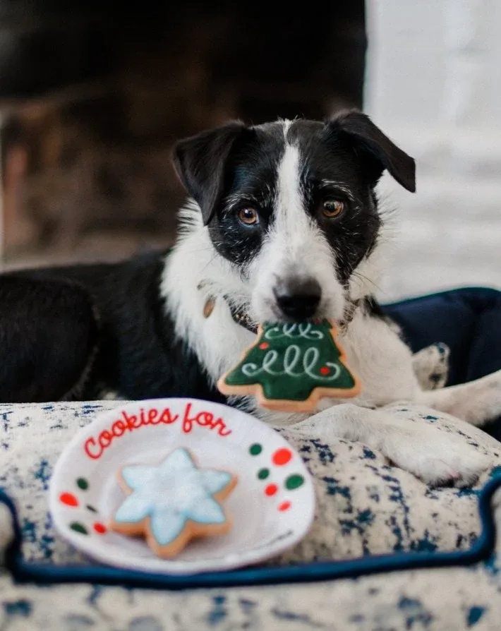 Christmas Eve Cookies for Santa Paws Dog Toy Set - Image 2