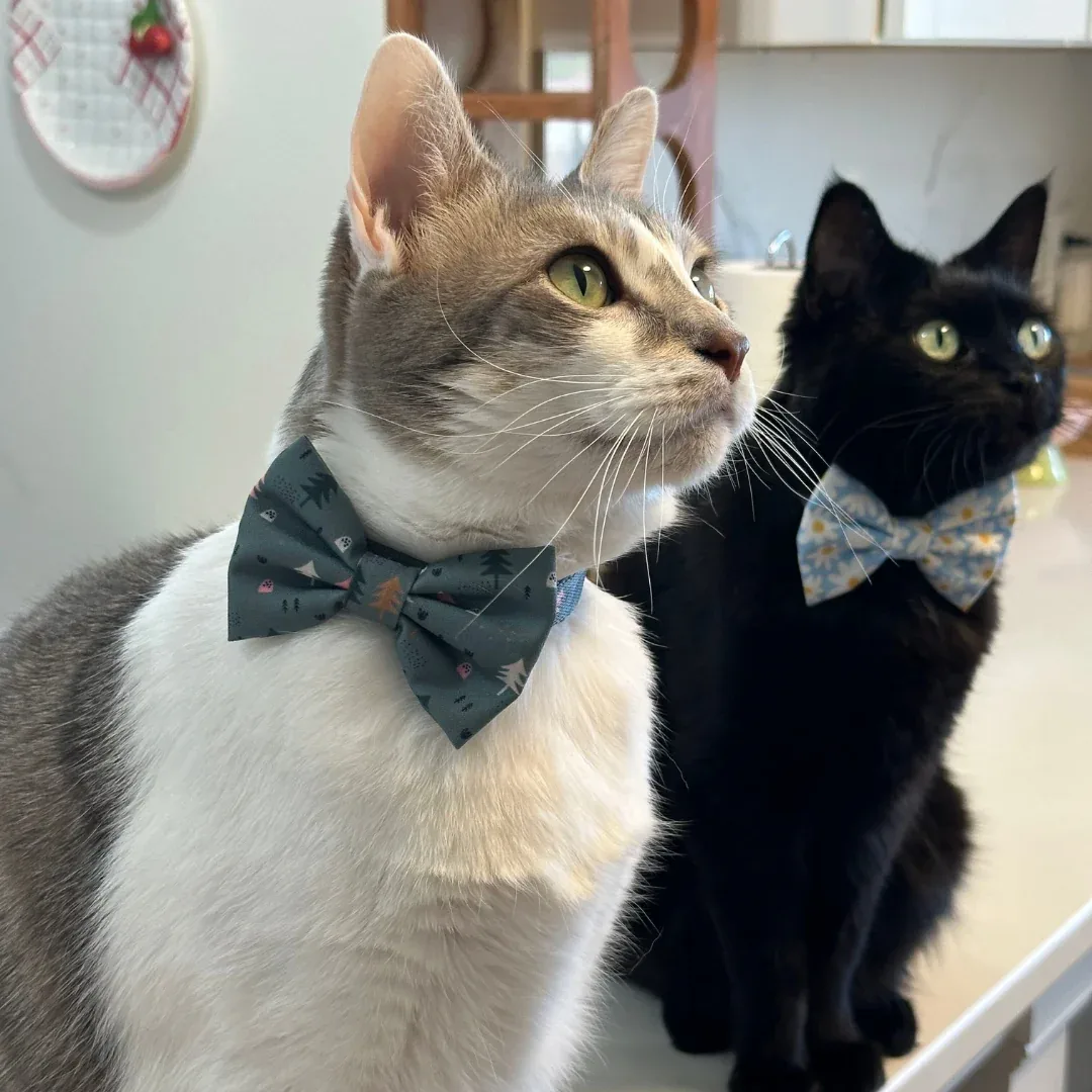 Take a Hike Cat (& Small Dog) Bow Tie - Image 2