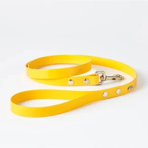 Hydro Dog Leash in Yellow (Made in Canada) (FINAL SALE)