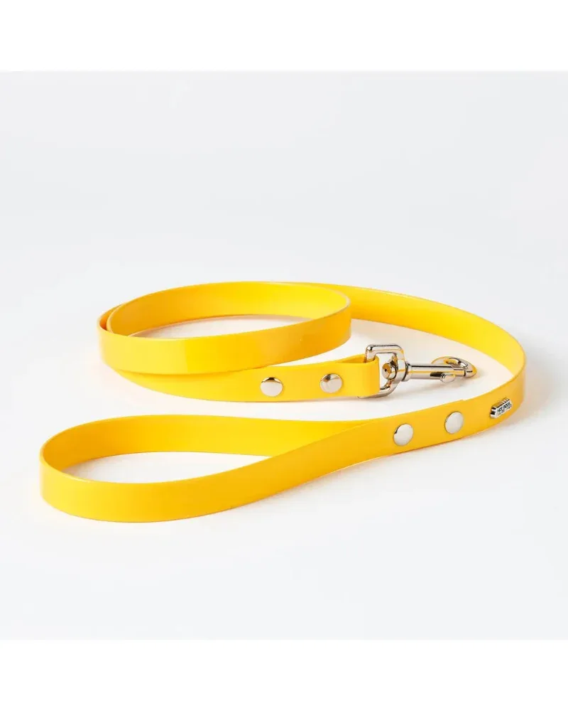 Hydro Dog Leash in Yellow (Made in Canada) (FINAL SALE)