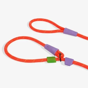 Slip-N-Lock Dog Leash in Everest