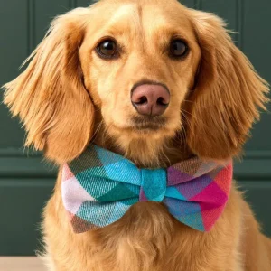 Color Pop Flannel Dog Bow Tie (Made in the USA)