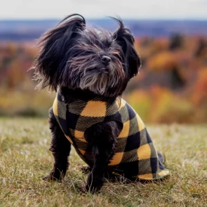Stretch Fleece Pullover in Yellow Buffalo Plaid (Made in the USA)