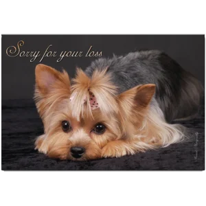 Sorry For Your Loss Yorkie Design Grievance Card by Dog Fashion Living