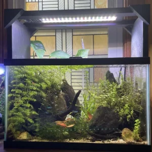 Programmable Aquarium LED with Extendable Bracket