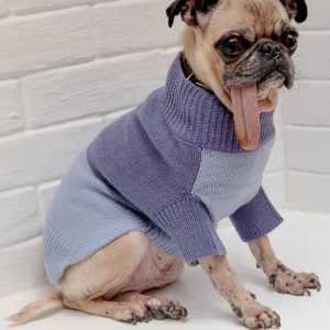 Colorblock Knit Dog Sweater in 2-Tone Blue((FINAL SALE))