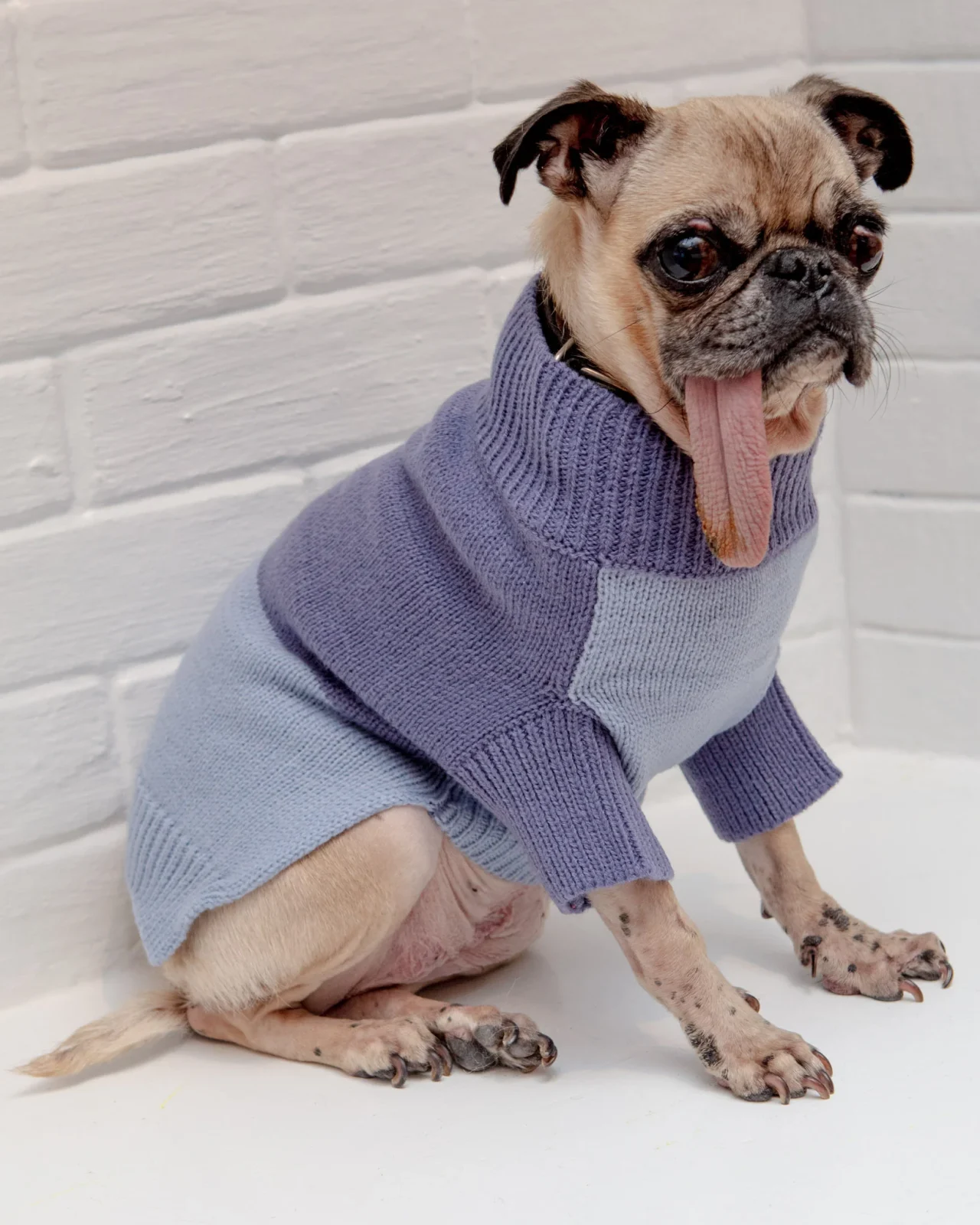 Colorblock Knit Dog Sweater in 2-Tone Blue((FINAL SALE))