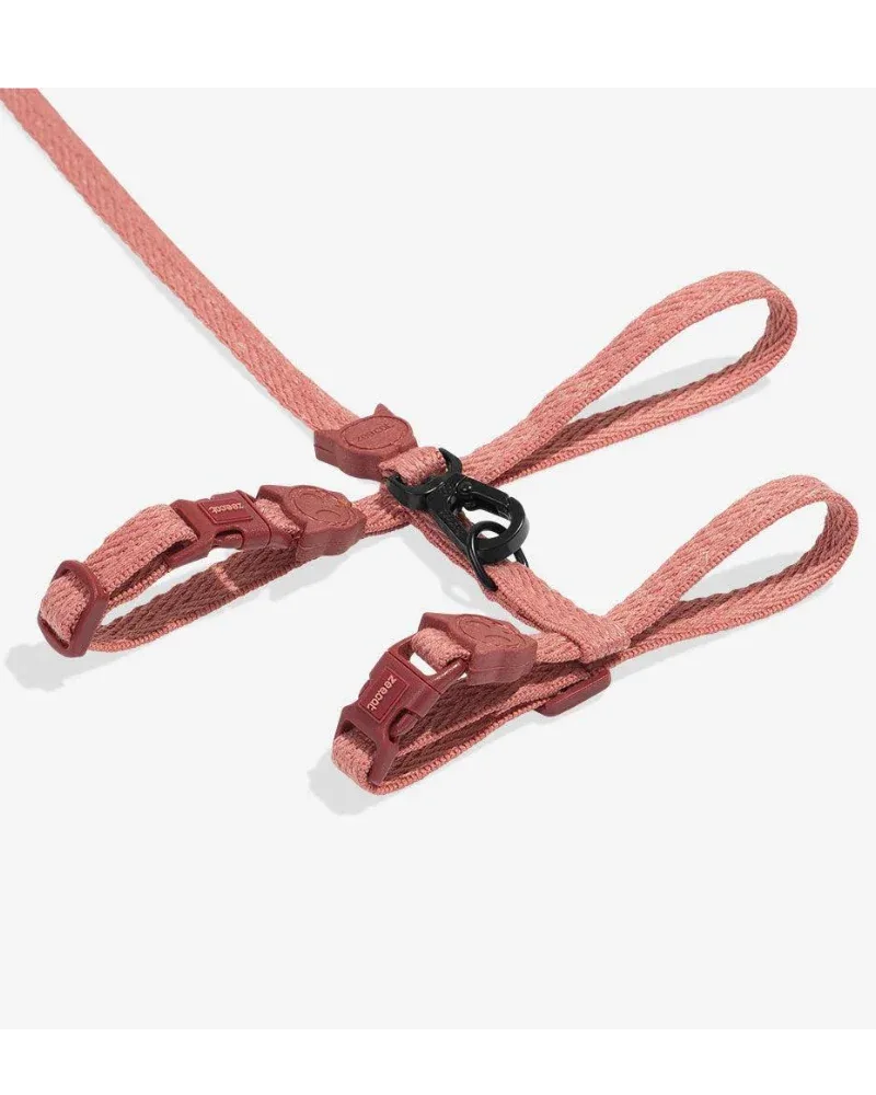 Cat Harness with Leash in Canyon - Image 2
