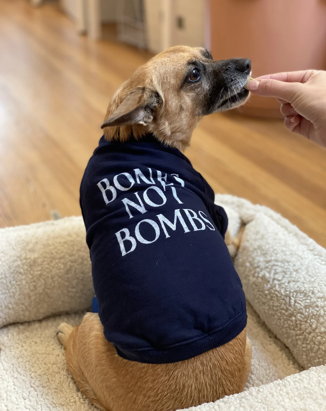 Cut-Sleeve “Bones Not Bombs” T-Shirt (Made in the USA) (FINAL SALE)