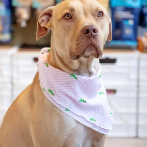 Pink Stripe Seersucker Alligator Dog Bandana (FINAL SALE)