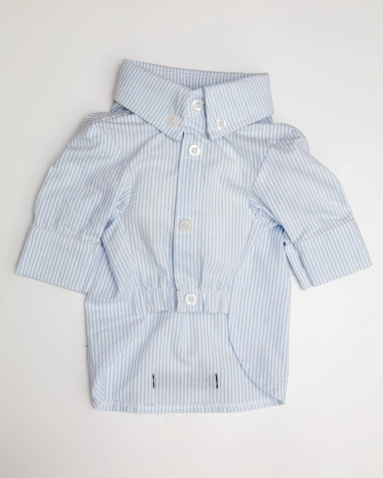 Slim Fit Organic Cotton Button Down Dog Shirt in Striped Blue (FINAL SALE) - Image 2