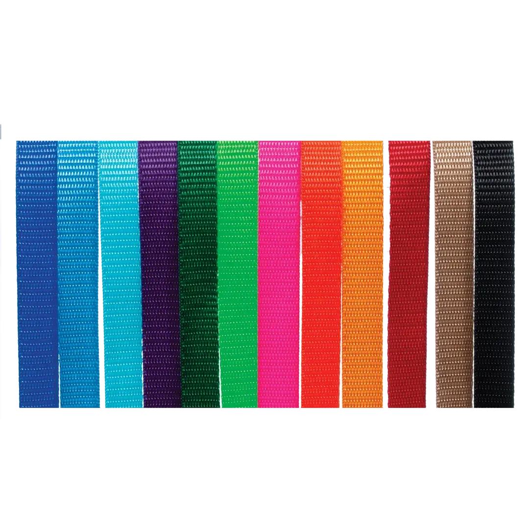 ID Me Take Me Home Collars 12 pk Assorted Colors by Breeder's Edge - Image 2