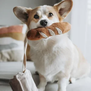Mini Baguette Nosework Squeaky Dog Toy