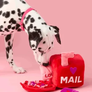 Love Letters Interactive Snuffle Dog Toy