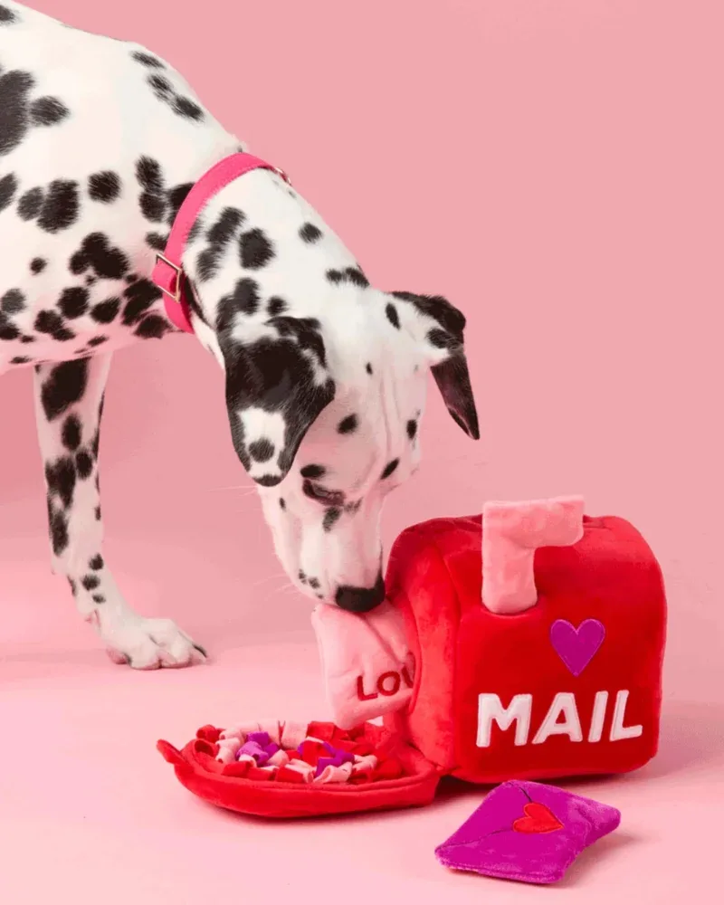 Love Letters Interactive Snuffle Dog Toy