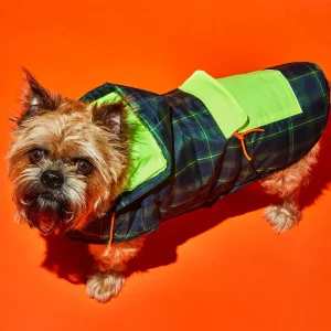 Plaid/Neon Nylon Yellow Puffer Dog Jacket
