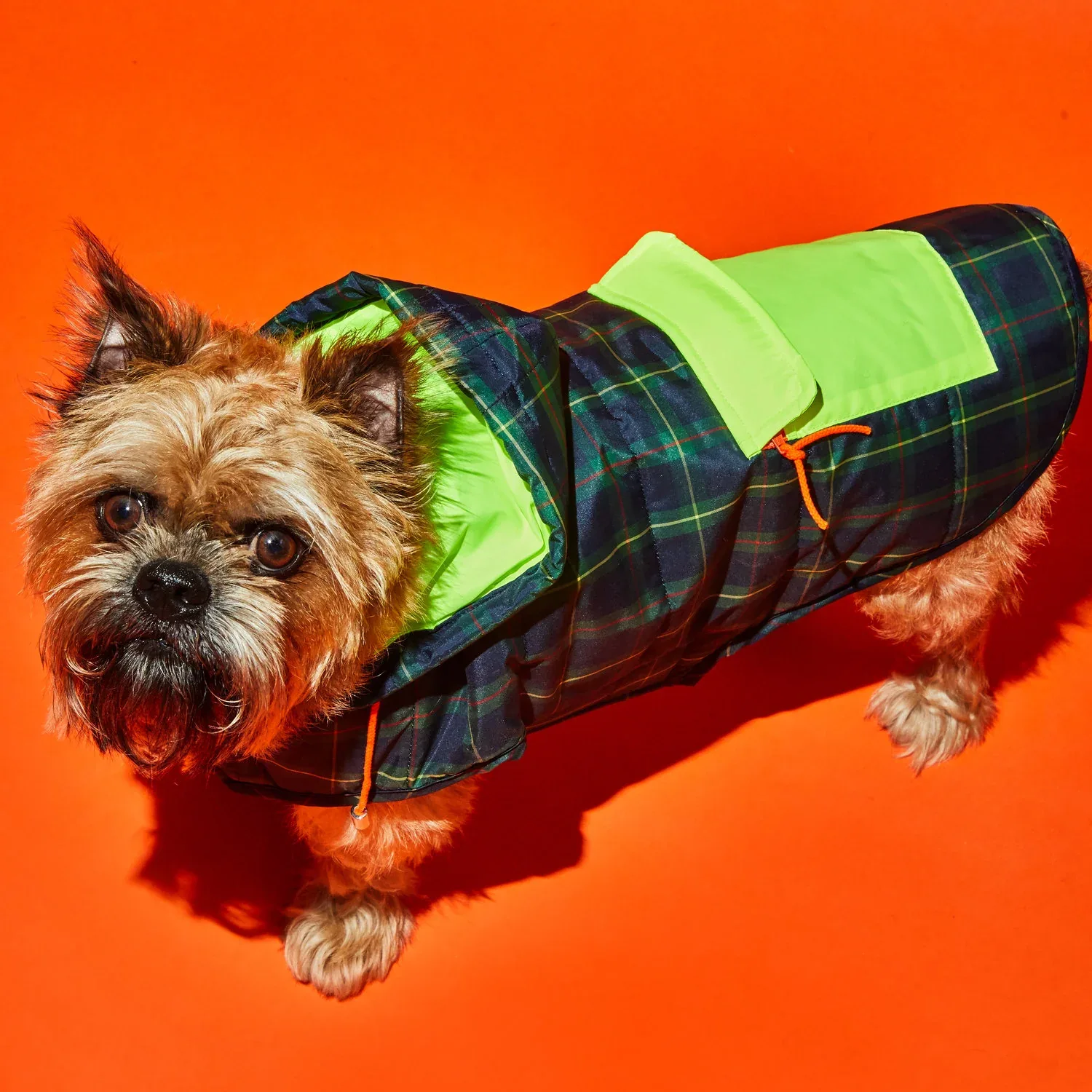 Plaid/Neon Nylon Yellow Puffer Dog Jacket